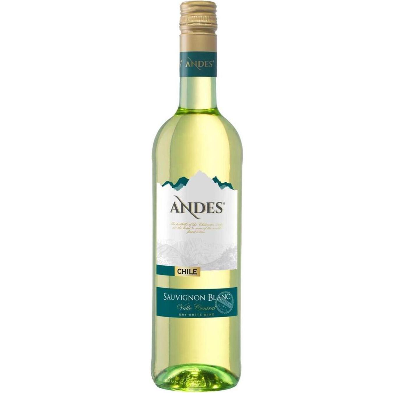 Вино Andes Sauvignon Blanc белое сухое 12,5% 0,75л