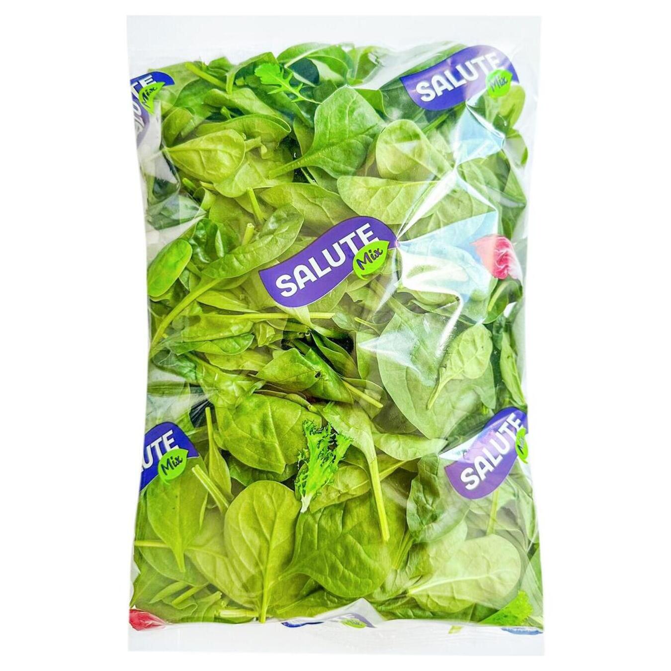 Salute baby spinach salad 250g