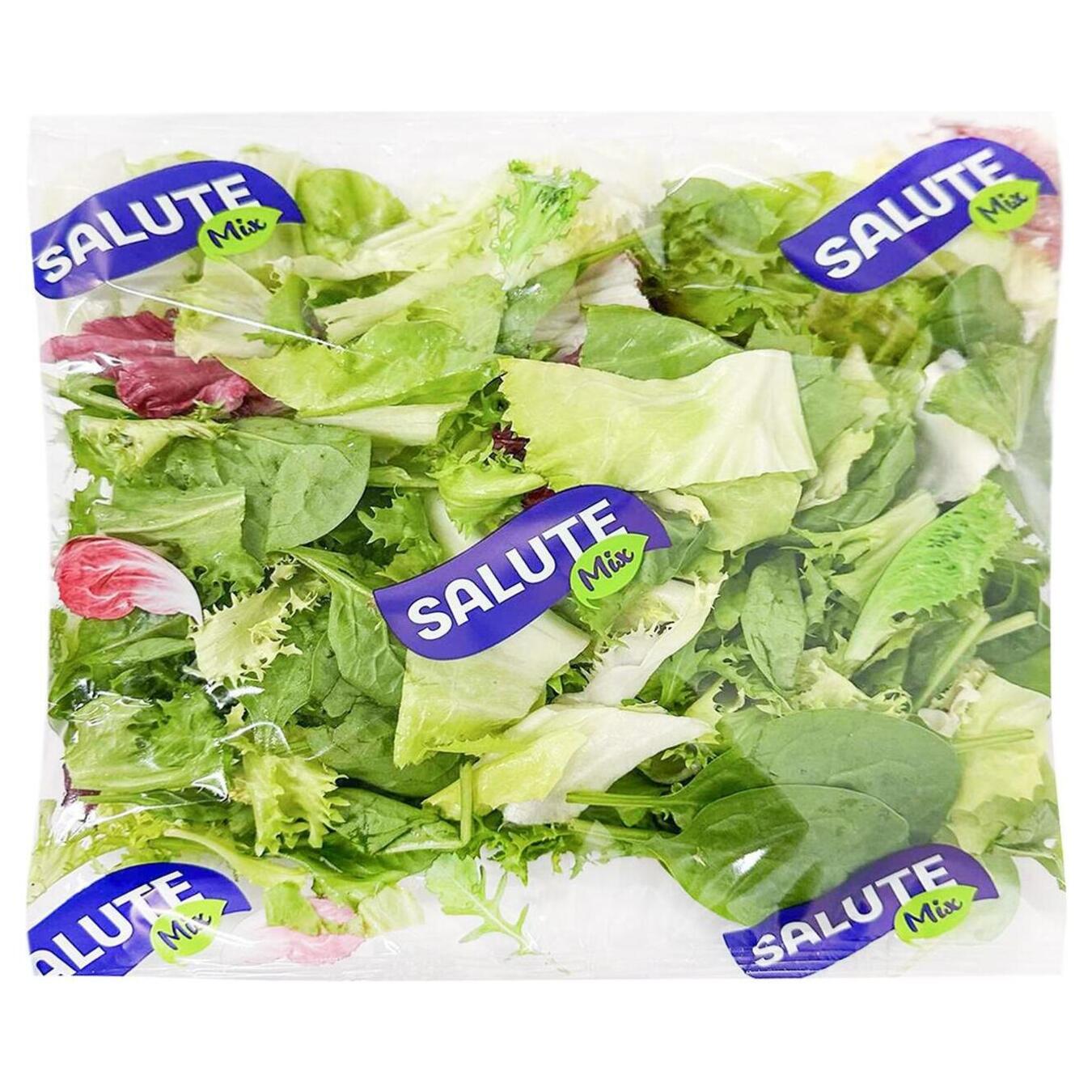 Salad Salute Gentle 120g