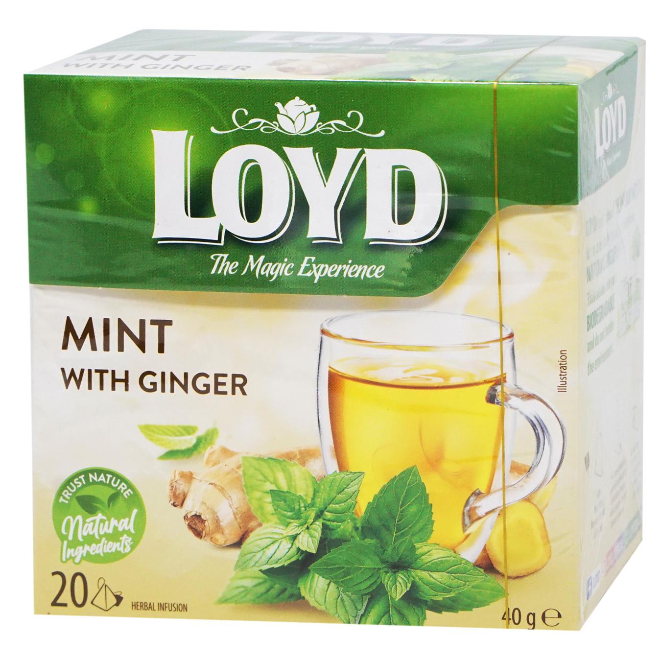 Herbal tea LOYD mint with ginger 2g*20 pcs