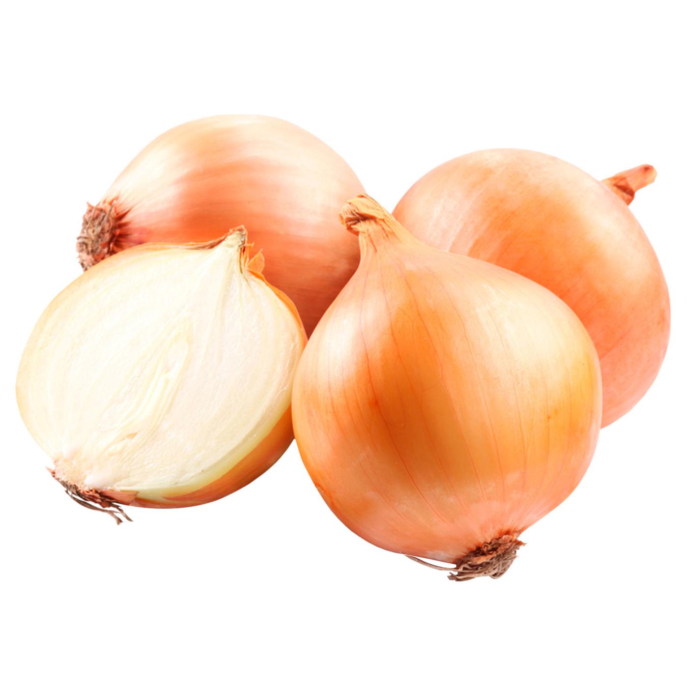 Young turnip onions