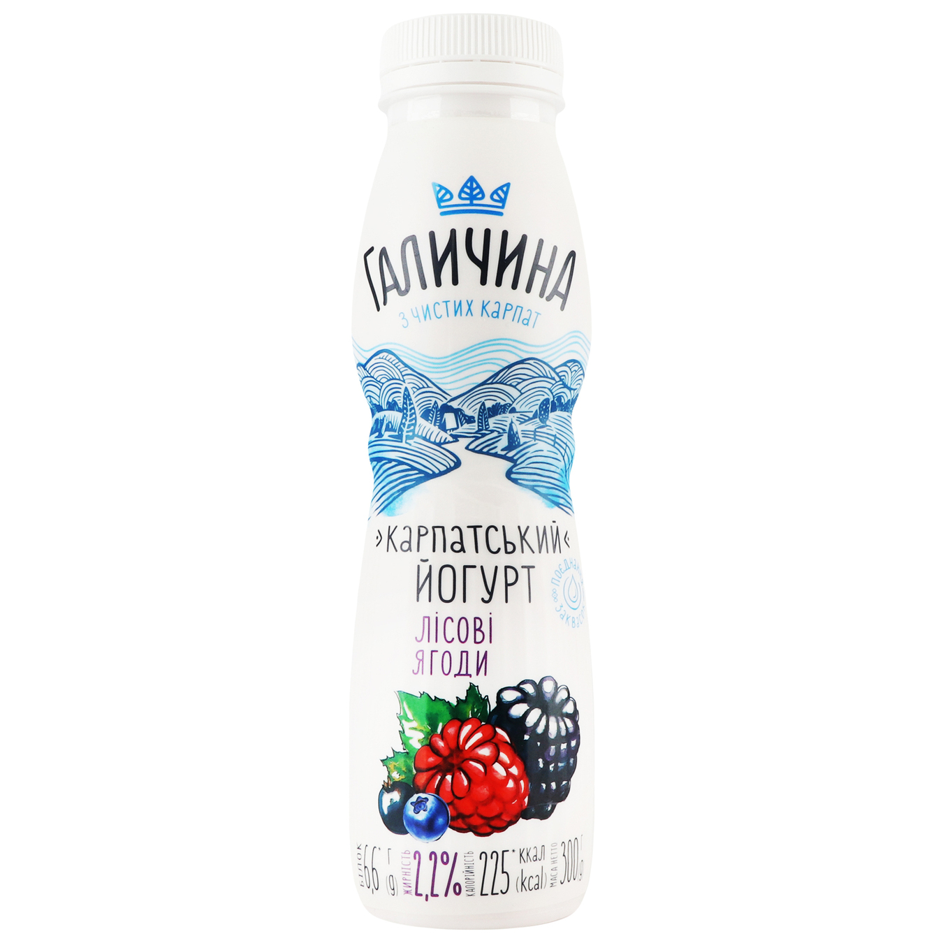 Galychyna Wild Berries Flavored Yogurt 2,2% 300g