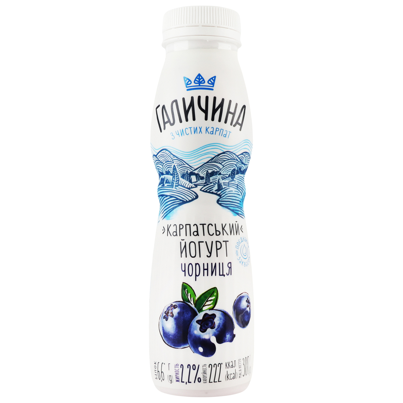 Galychyna Bilberry Flavored Yogurt 2,2% 300g