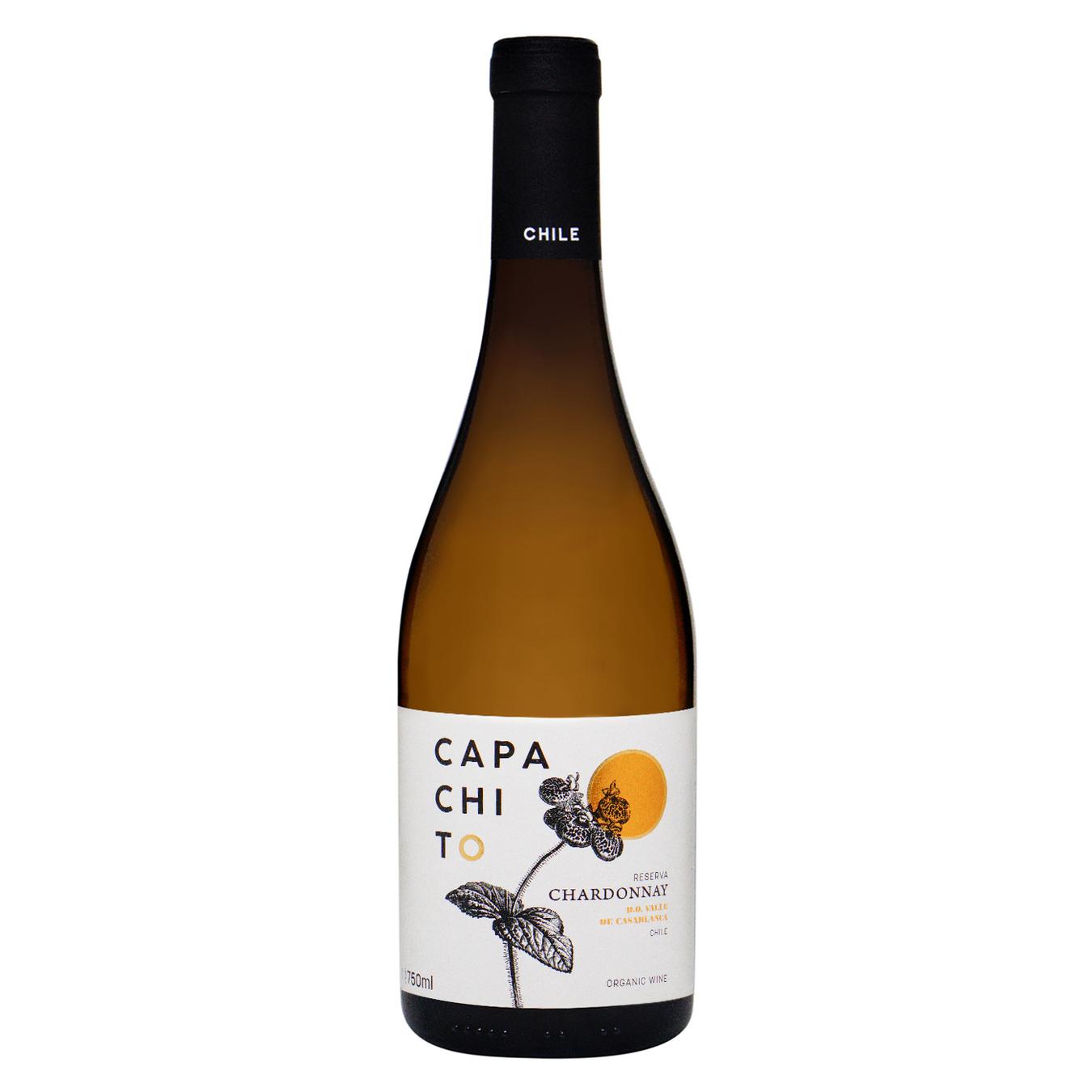 Вино Capacapachito Chair белое сухое 13,5% 0,75л