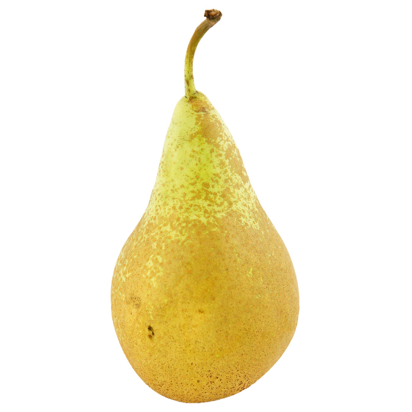 Pear Ksenia