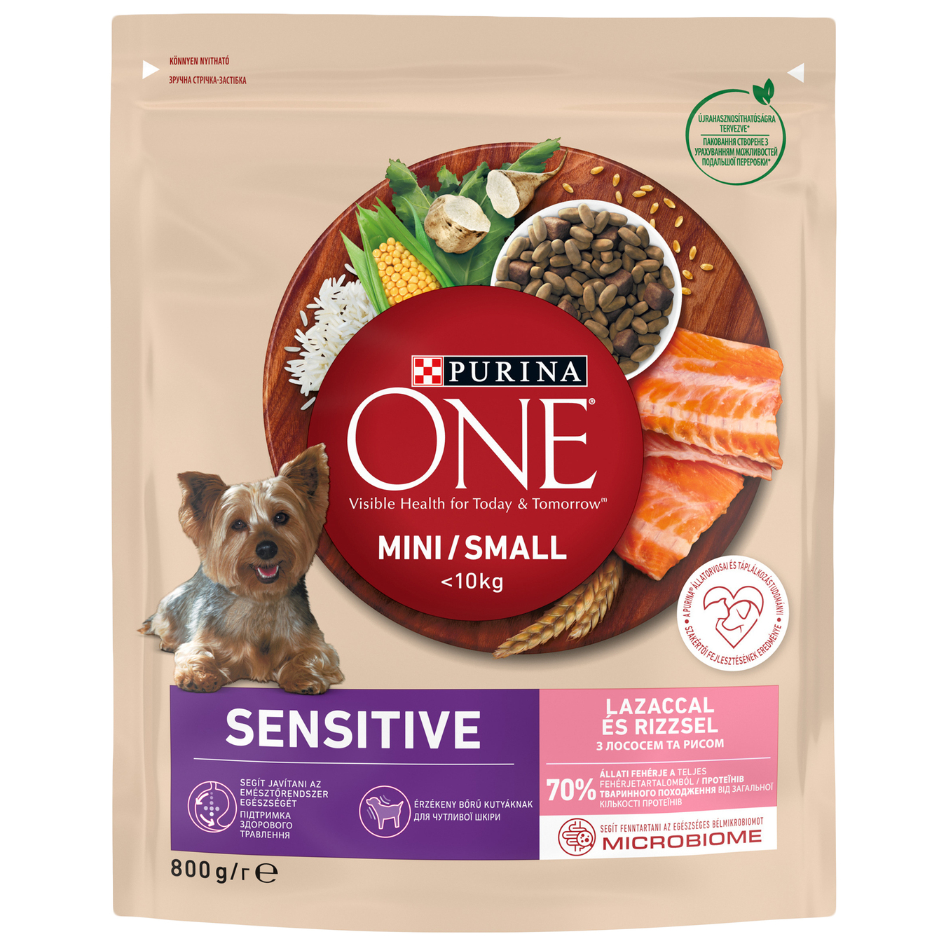 One Sensitive dry food for dogs of small breeds with sensitive digestion with salmon and rice 800g