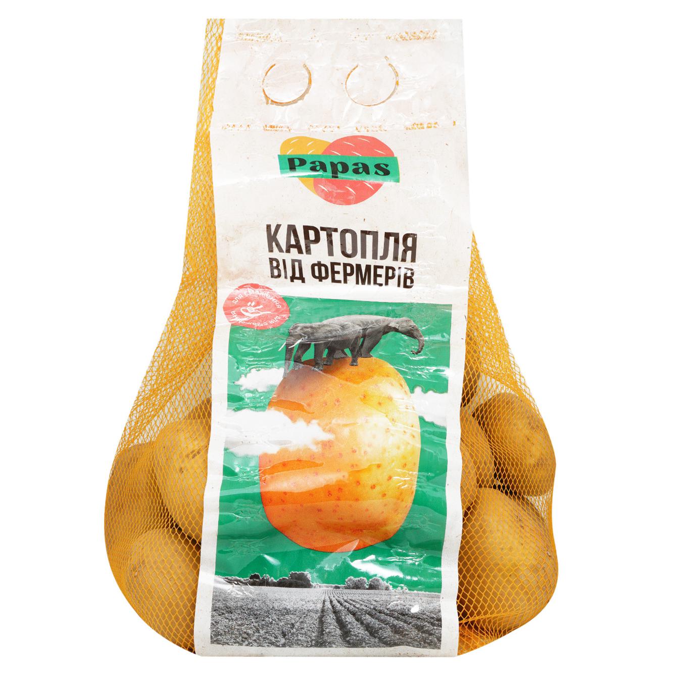 Картофель PAPAS для жарки 2.5 кг