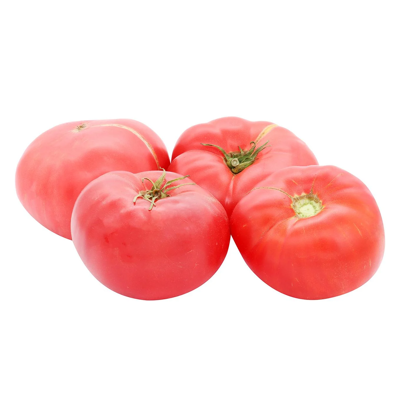 Timento tomato