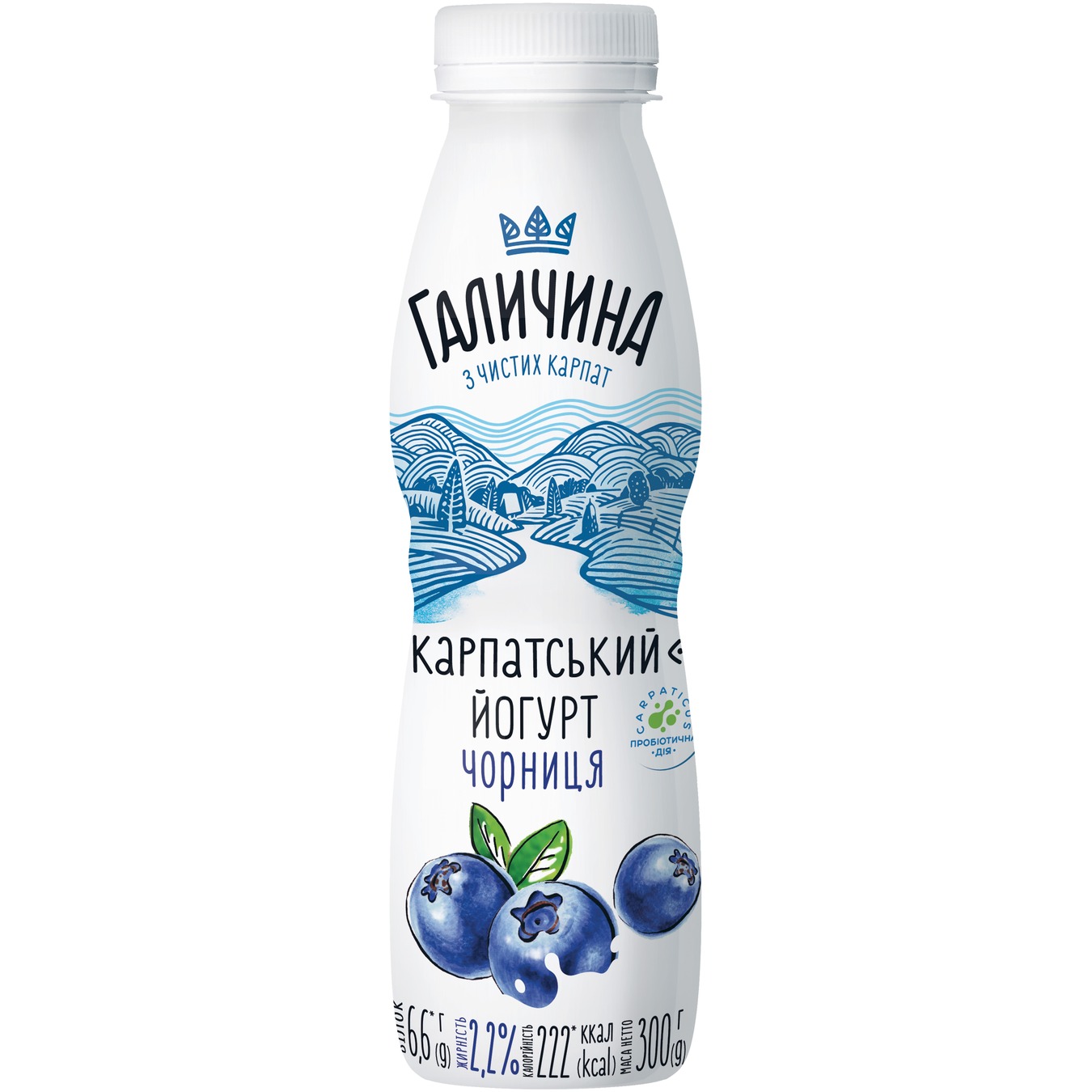 Galychyna Bilberry Flavored Yogurt 2,2% 300g