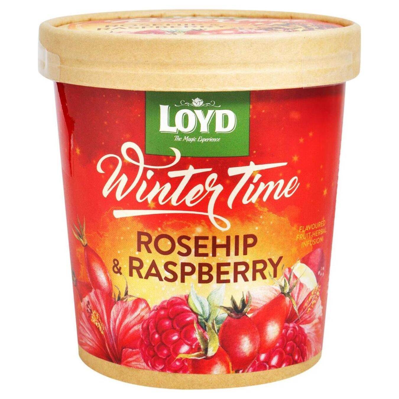 Loyd Winter Time fruit tea infusion with rosehip and raspberry flavor 50g