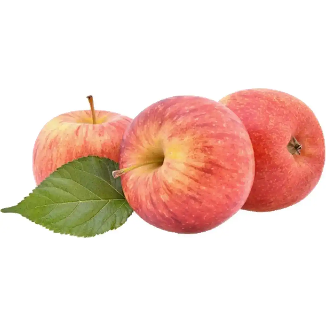 Яблуко Гала Преміум 75+