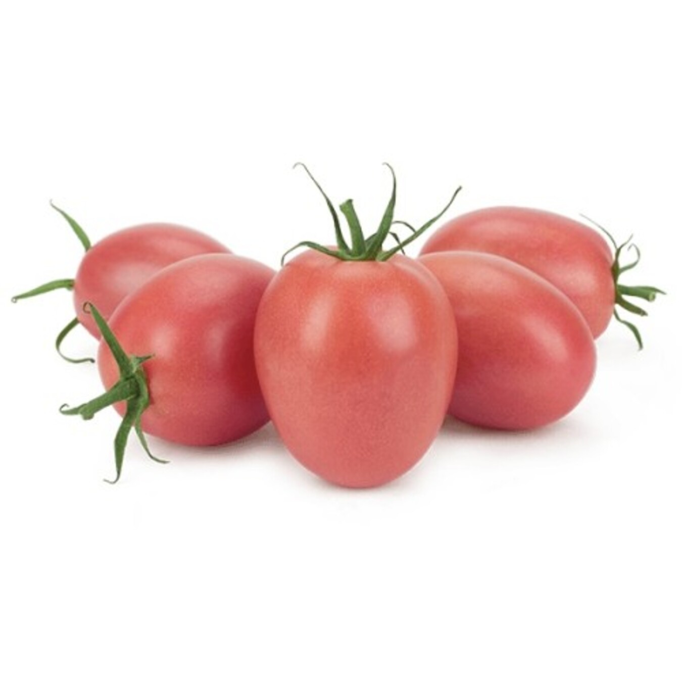 Tomato plum pink