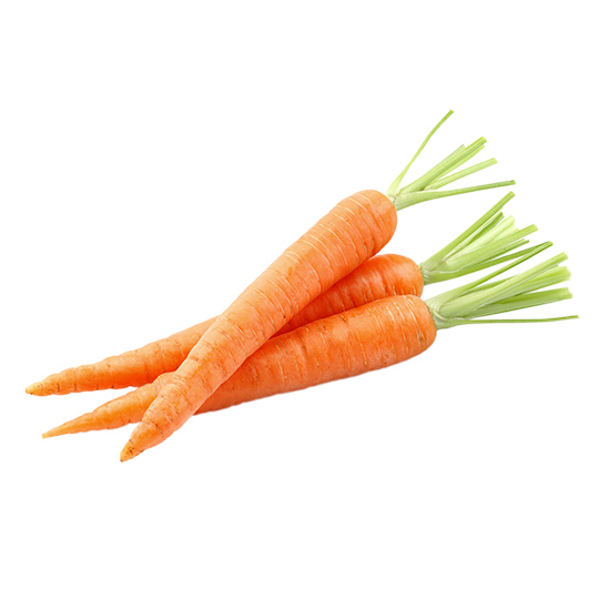 Young Carrot