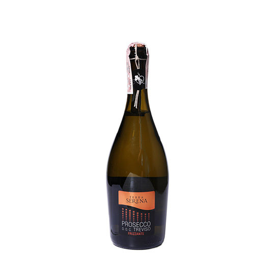 Вино Terra Serena Prosecco Frizante ігристе біле сухе 10,5% 0,75л
