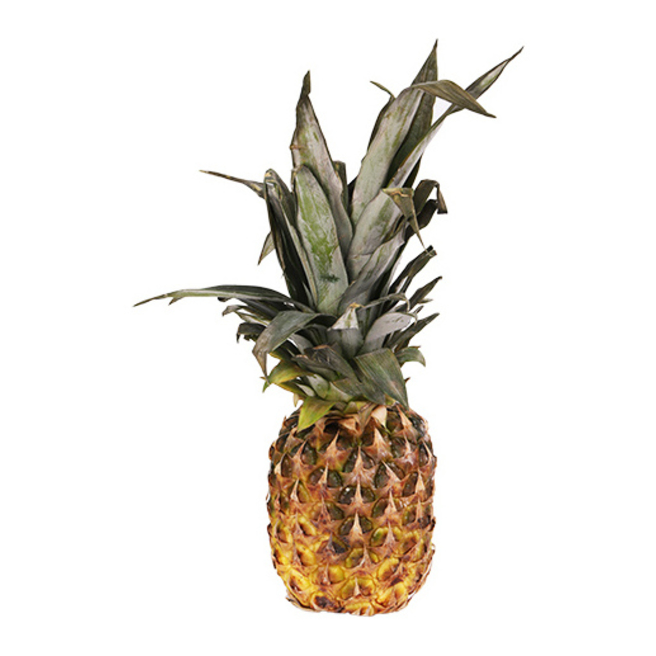 Small pineapple pcs