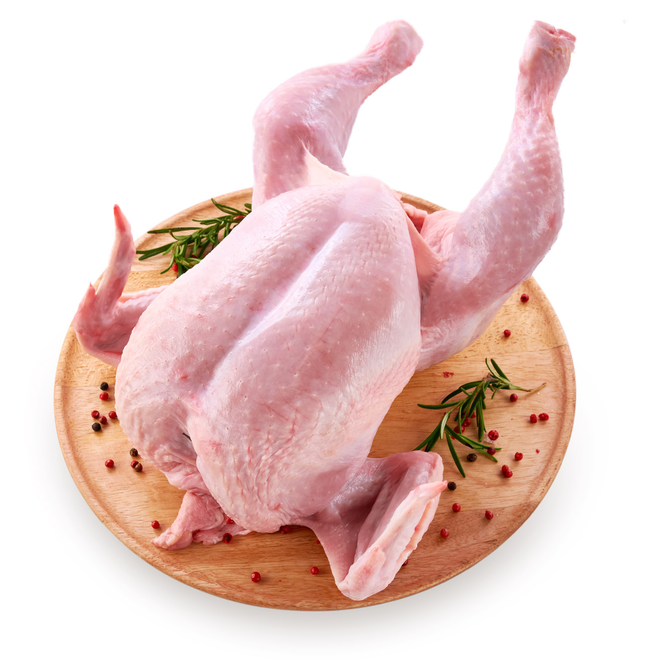 Broiler chicken carcass chilled
