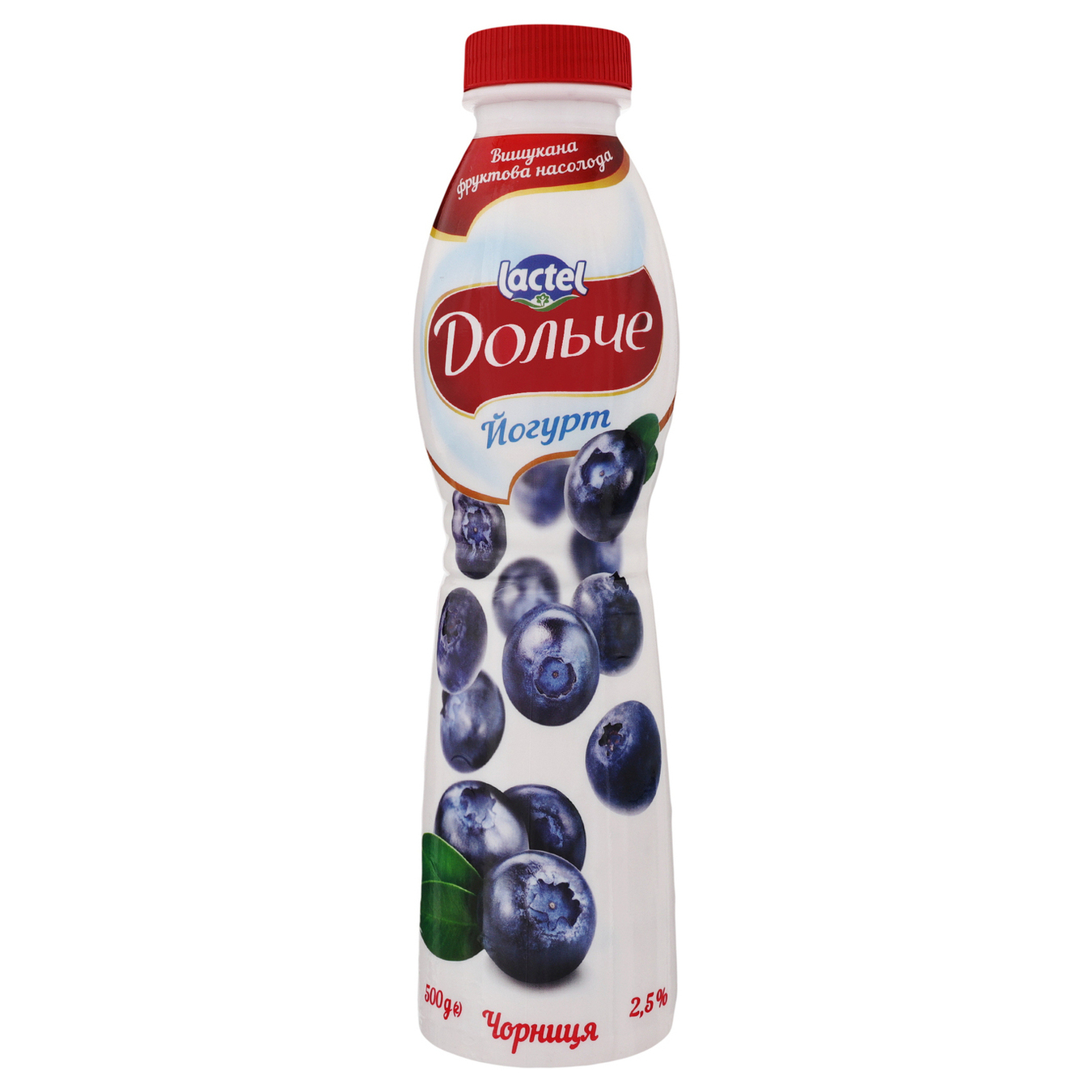 Dolce Yogurt with blueberry filling 2,5% 500g