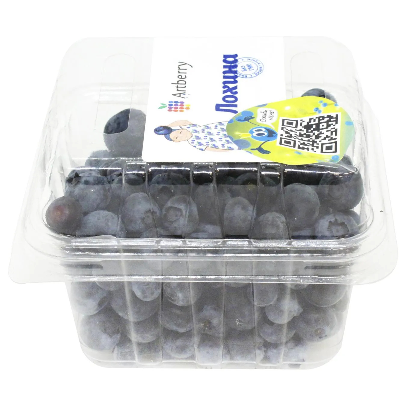 Artberry blueberry 250g