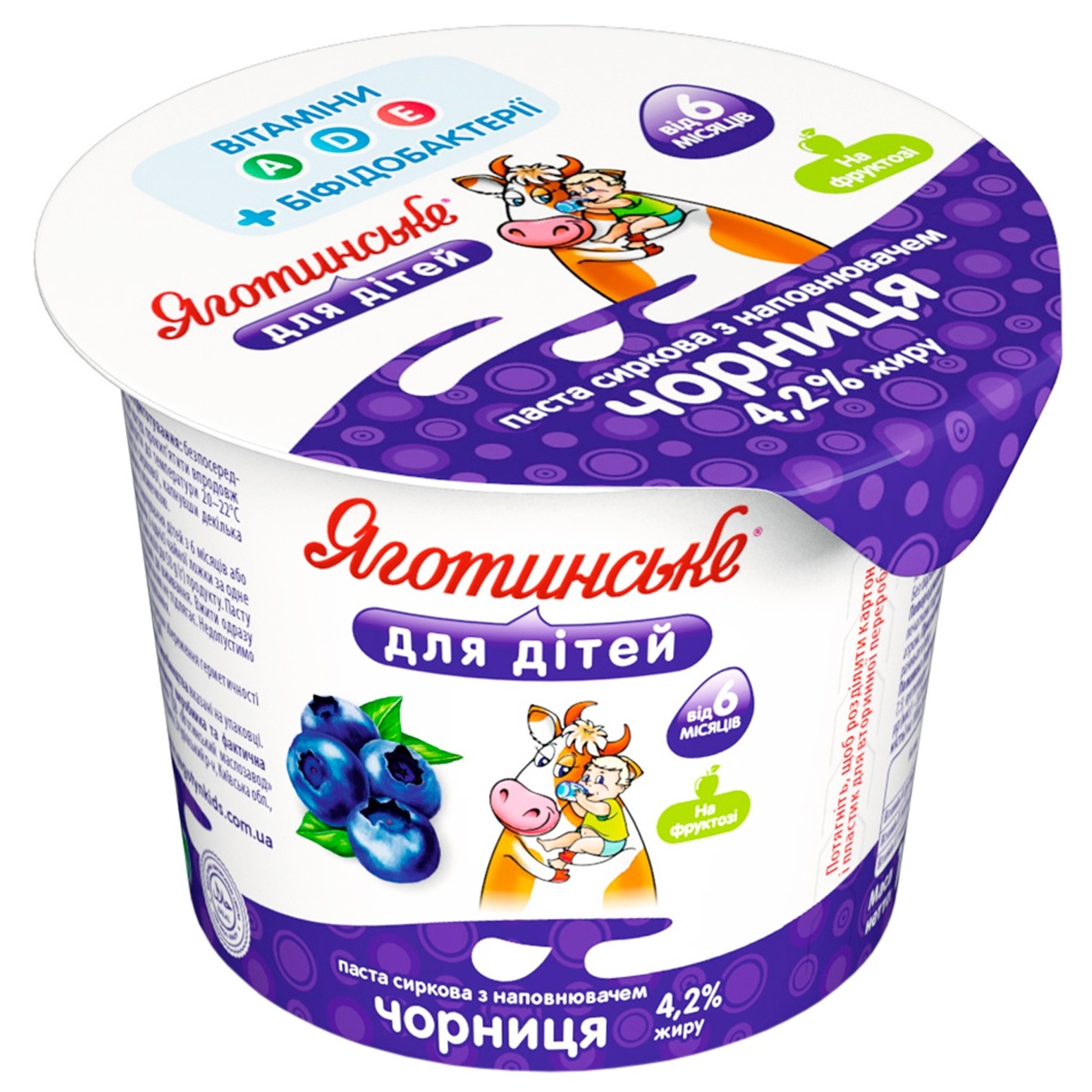 Yahotynske Blueberry Flavored Cottage Cheese for Babies from 6 Months 4,2% 100g