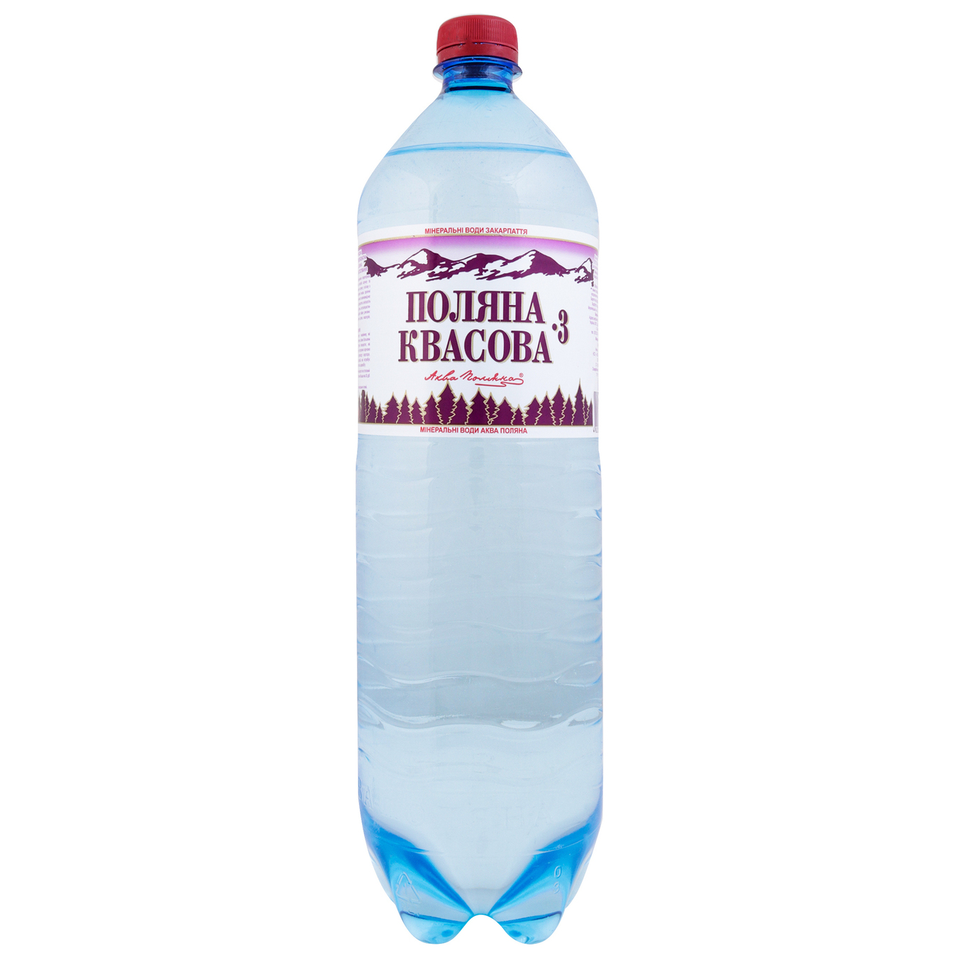 Polyana Kvasova  Highly carbonated mineral water  Aqua-Polyana p/house 44682 l  