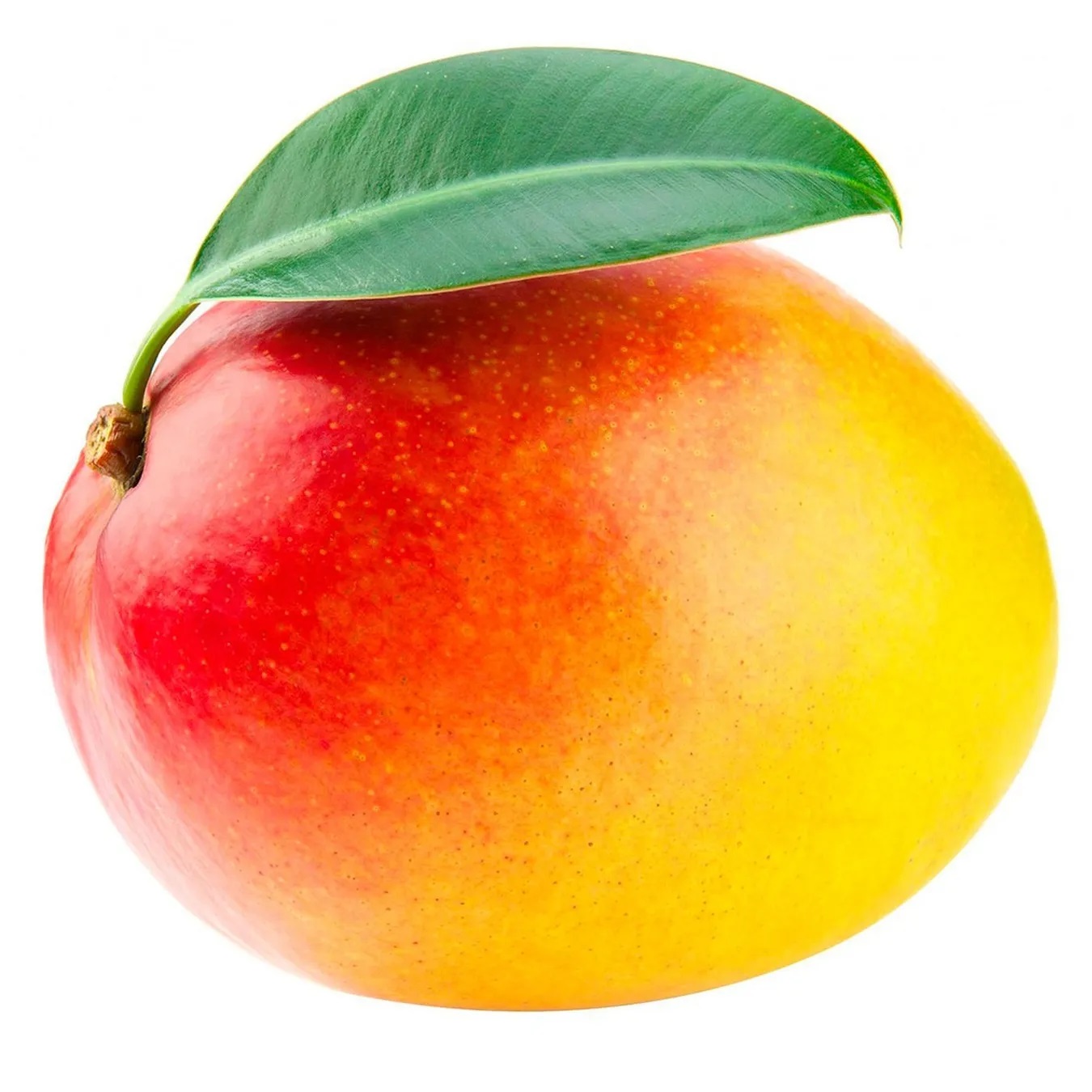 Royal mango 1pc