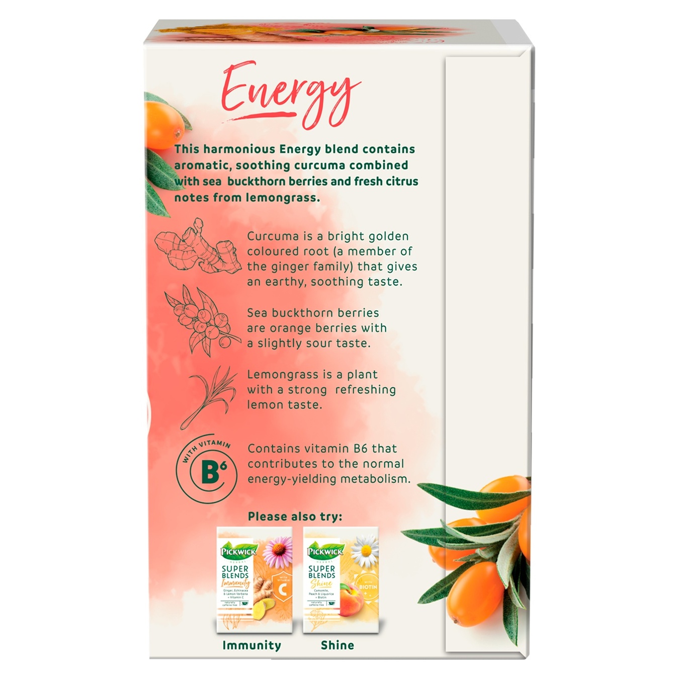 Herbal tea Pickwick Energy 15*1.5g 3