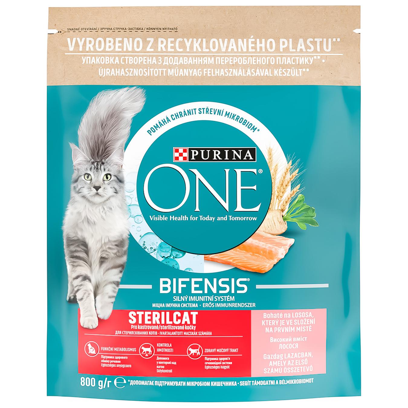Purina ONE Sterilcat dry food with salmon and wheat for castrated cats and sterilized cats 800g