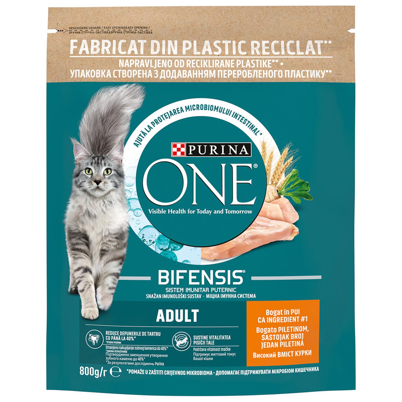 Purina One Rice And Chicken Dry For Cats Food 800g